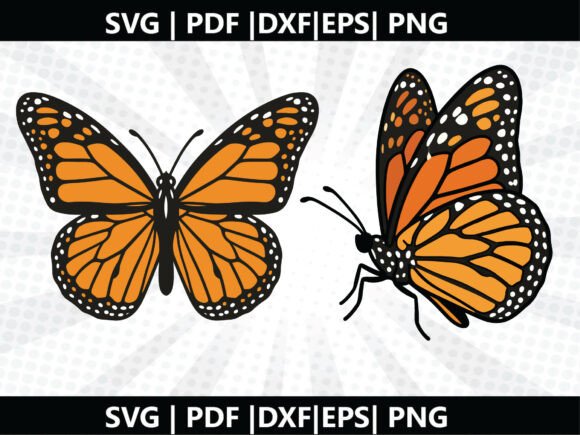 Butterfly SVG Cricut Cut File – A Versatile Graphic Design Asset for Content Creators